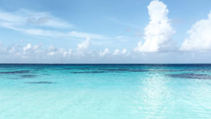 Co warto wiedzieć wybierając się na Malediwy?