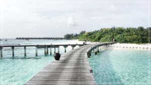 Alabasterfox, kategoria: podróże (Malediwy)