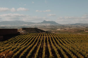 Początek zbiorów, La Rioja